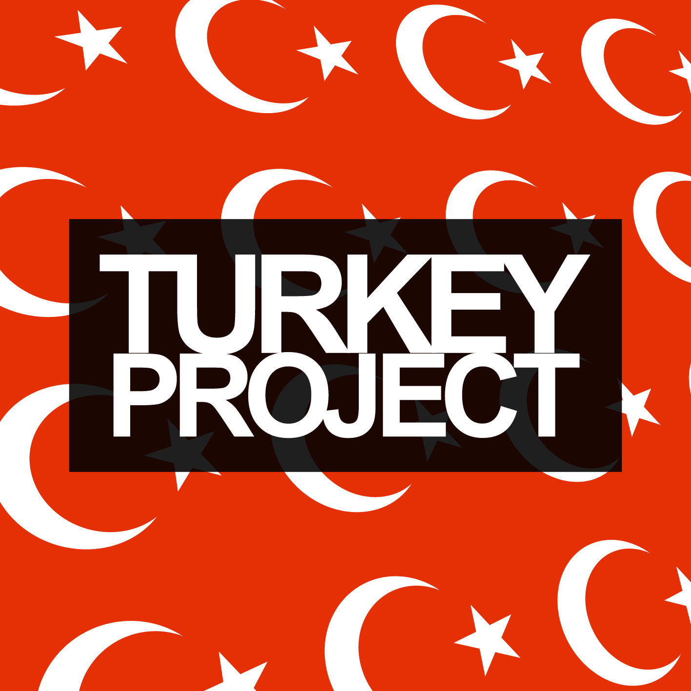 #FinesseFriday – Turkey Project